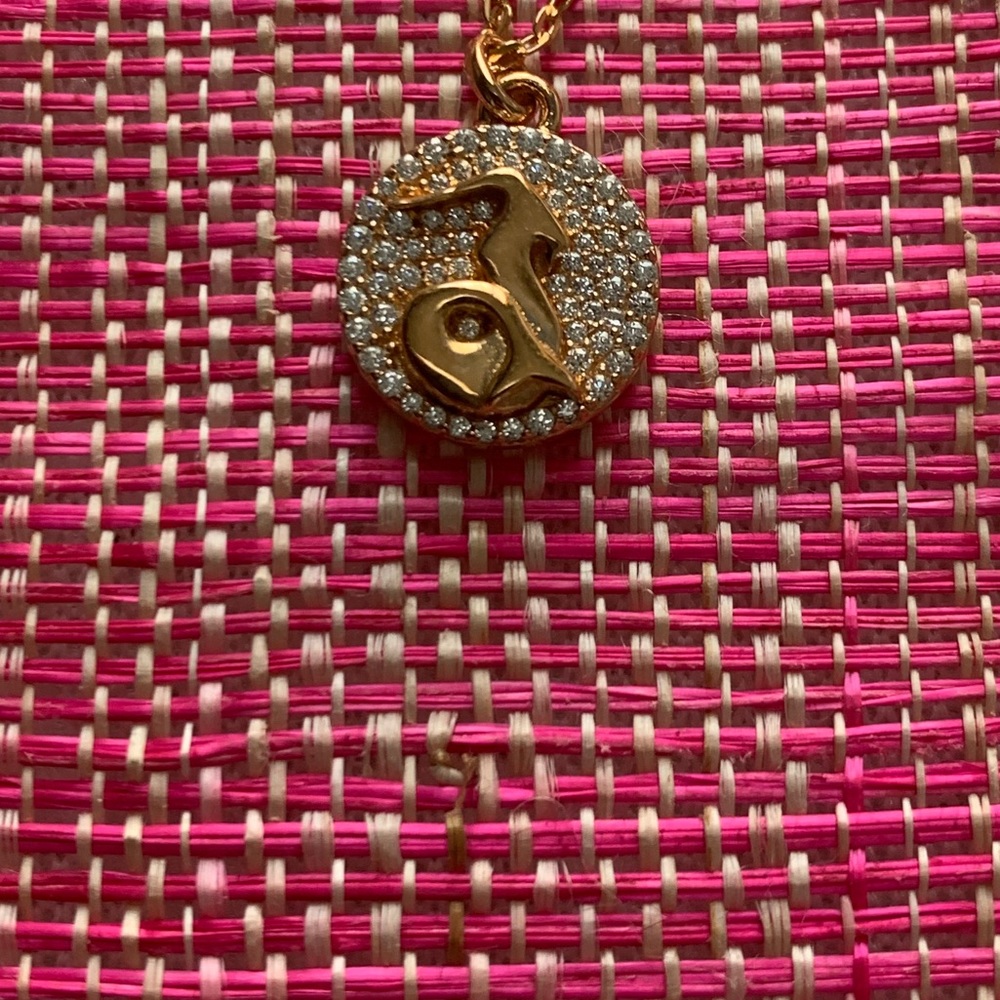 Michael Kors ARIES necklace, brand new!
